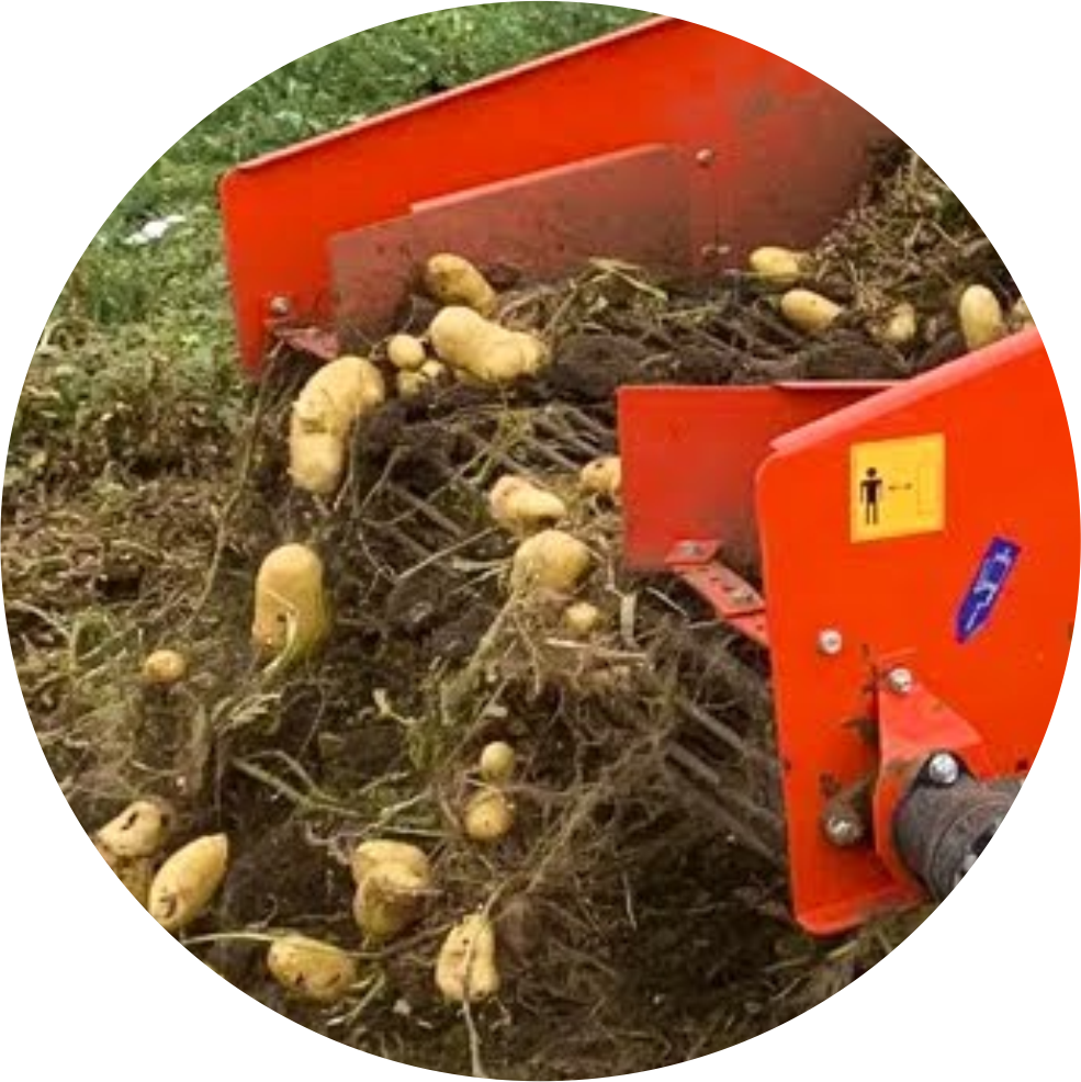 Potato digger agri impex